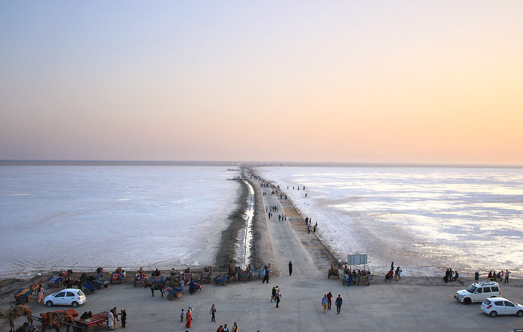 paromatravels.com_blog_Rann_of_Kutch_Witness_the_White_Desert_Festival_in_Gujarat_cover_page