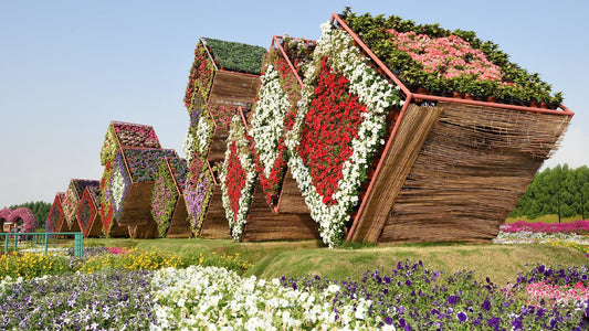 paromatravels.com_blog_Visiting_Dubai's_Miracle_Garden_A_Floral_Wonderland_in_the_Desert_cover_page