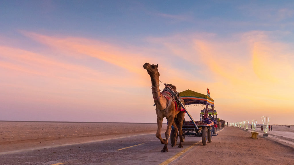 paromatravels.com_blog_Rann_of_Kutch_Witness_the_White_Desert_Festival_in_Gujarat_4