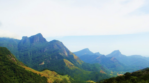 paromatravels.com_blog_Discover_the_Top_10_Must_Visit_Places_in_Sri_Lanka_for_Your_Next_Adventure_15