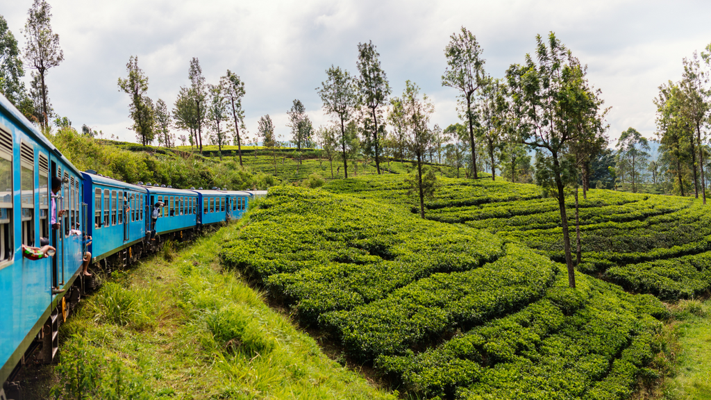 paromatravels.com_Sri_Lanka's_Best_Scenic_Train_Rides_2