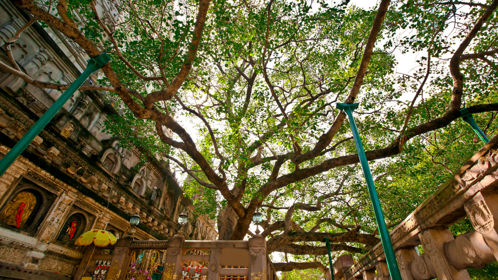 paromatravels.com_blog_Bodh_Gaya_The_Sacred_Site_Where_Buddha_Attained_Enlightenment_2