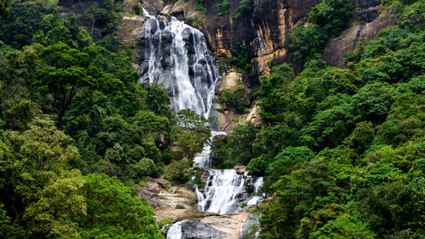 paromatravels.com_blog_Discover_the_Top_10_Must_Visit_Places_in_Sri_Lanka_for_Your_Next_Adventure_5