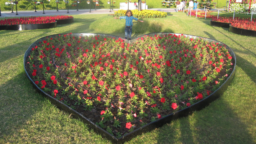 paromatravels.com_blog_Visiting_Dubai's_Miracle_Garden_A_Floral_Wonderland_in_the_Desert_4